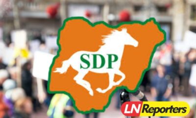 SDP