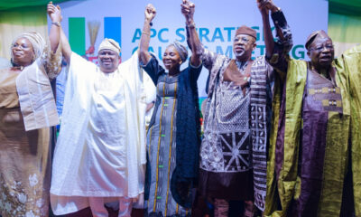 Group of diverse Nigerian politicians on stage, hands raised in unity at an APC rally with a branded backdrop.