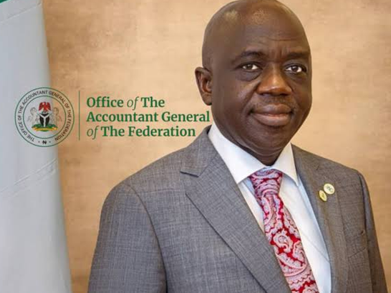 Portrait of a man in a gray suit with a red patterned tie, standing beside a banner that reads 'Office of The Accountant General of The Federation'.