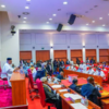 Speaker at a podium addressing a large audience in a bright government chamber with Nigerian flags and red-seated delegates.