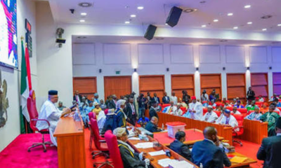 Speaker at a podium addressing a large audience in a bright government chamber with Nigerian flags and red-seated delegates.