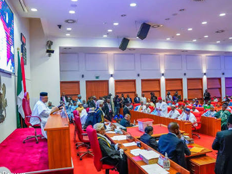 Speaker at a podium addressing a large audience in a bright government chamber with Nigerian flags and red-seated delegates.