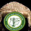 Wig adorned with a circular Nigerian Bar Association emblem promoting the rule of law, symbolizing the legal profession