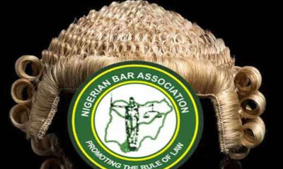 Wig adorned with a circular Nigerian Bar Association emblem promoting the rule of law, symbolizing the legal profession