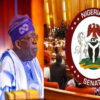 Senator seated in the Nigerian Senate chamber with the Senate seal overlaid on the image at right.