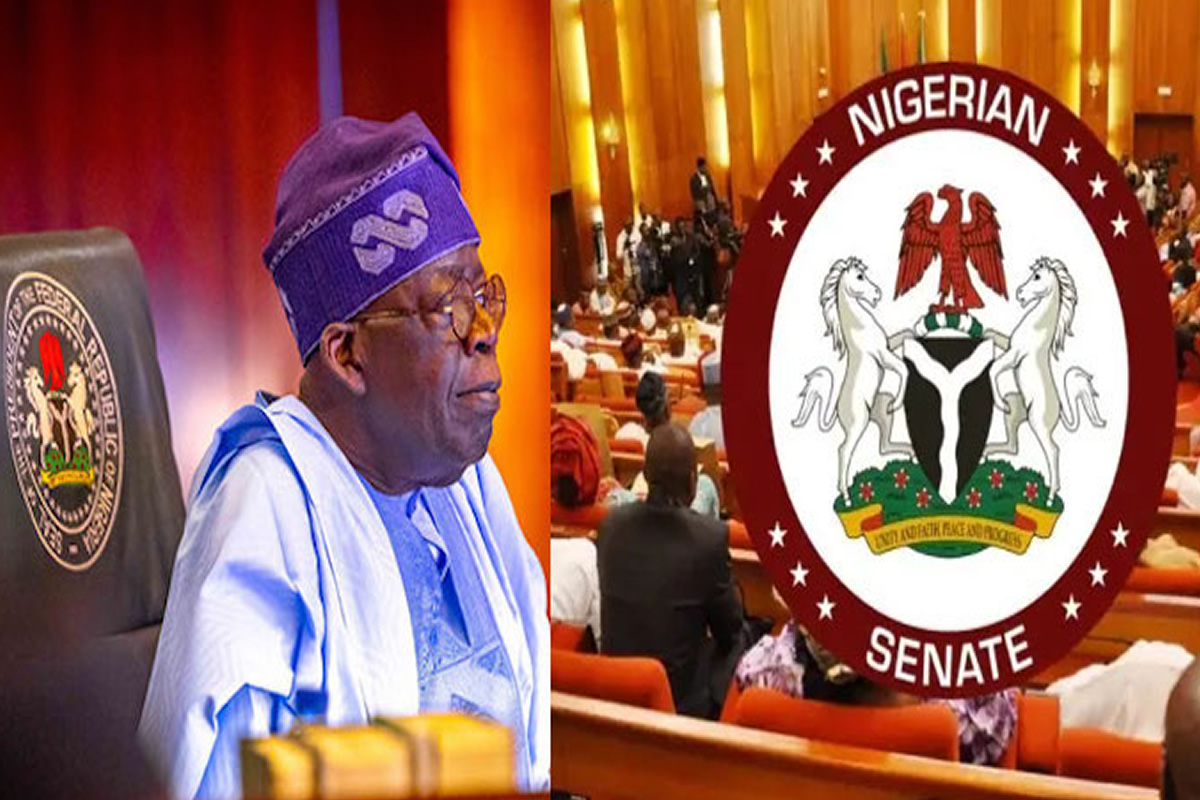 Senator seated in the Nigerian Senate chamber with the Senate seal overlaid on the image at right.