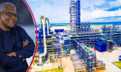 Smiling man in a dark blue shirt stands beside a large oil refinery complex by the seaside.