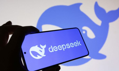 Smartphone showing the Deepseek logo on a blue screen, held in front of a wall with a large blue whale silhouette in the background.