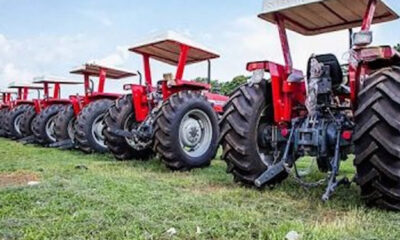 Row of red tractors with canopies parked on a grassy field.